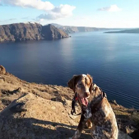 Christa's * Oia (Santorini)