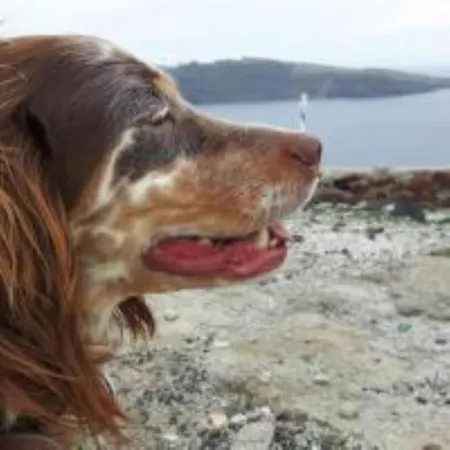 Christa's Appartement *