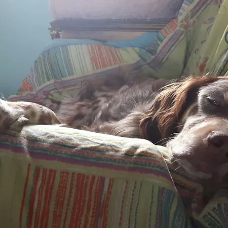 Christa's * Oia (Santorini)