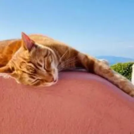 Appartamento Christa's Oia (Santorini)