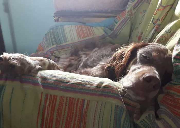 Christa's * אויה